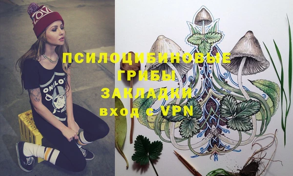 МДПВ Верхний Тагил