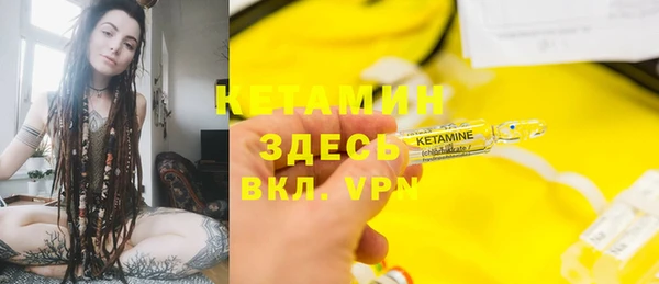 крисы Верея