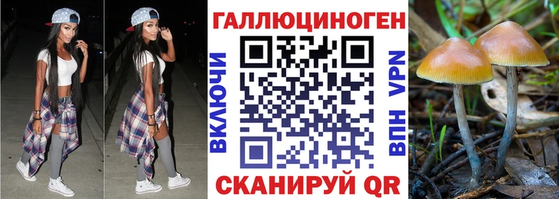 Галлюциногенные грибы прущие грибы  где купить   Тихорецк 
